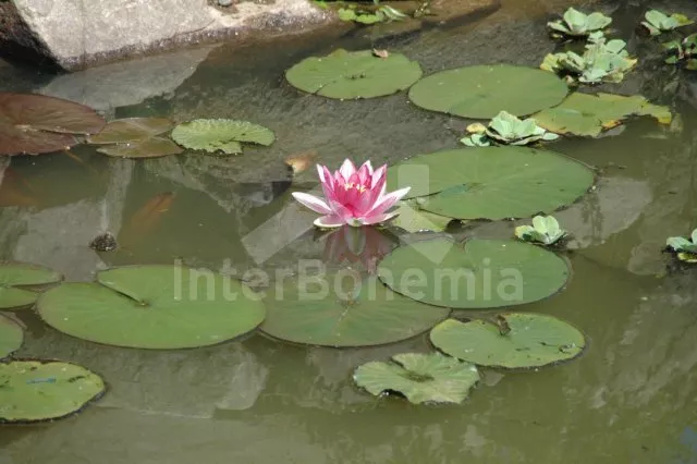 Appartement Erzgebirge KH 0002 B