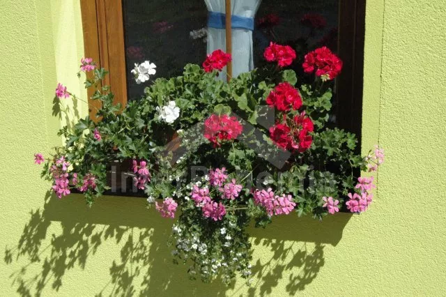 Appartement Erzgebirge KH 0002 B