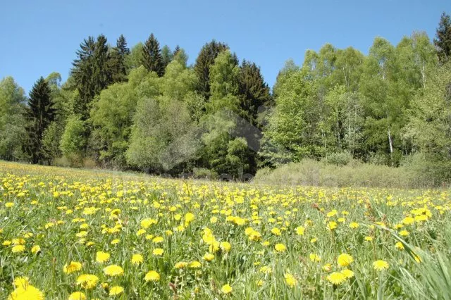 Chalupa Šumava a předhůří JC 0220
