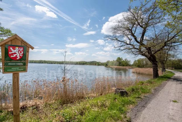 Villa Bohemian Canada JC 0221