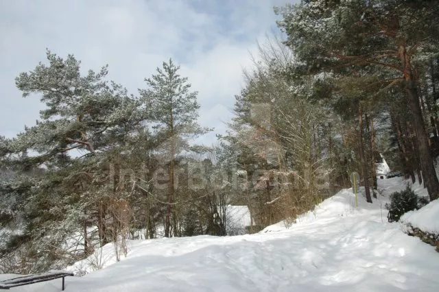 Bungalow Orlik stuwmeer JC 0439