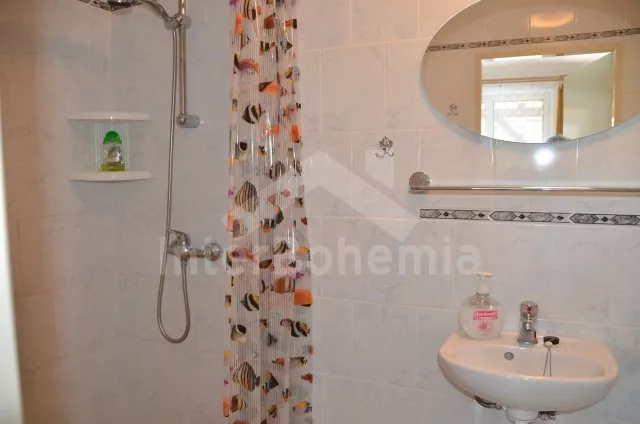 Apartmán Lázeňský trojúhelník KH 0104