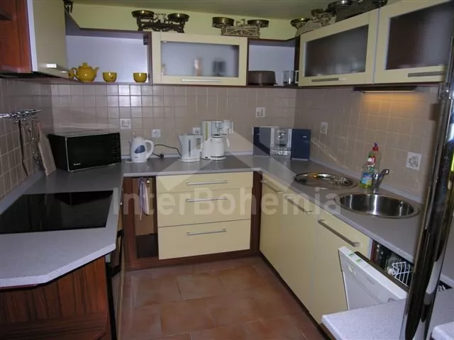 Vila Krušné hory KH 0106