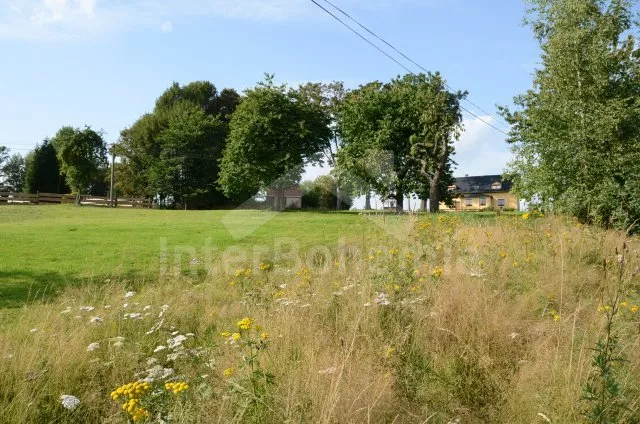 Vila Krušné hory KH 0106