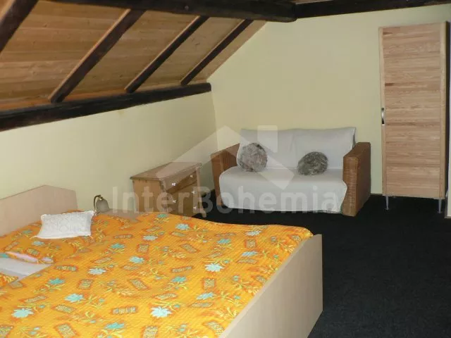 Vila Krušné hory KH 0106