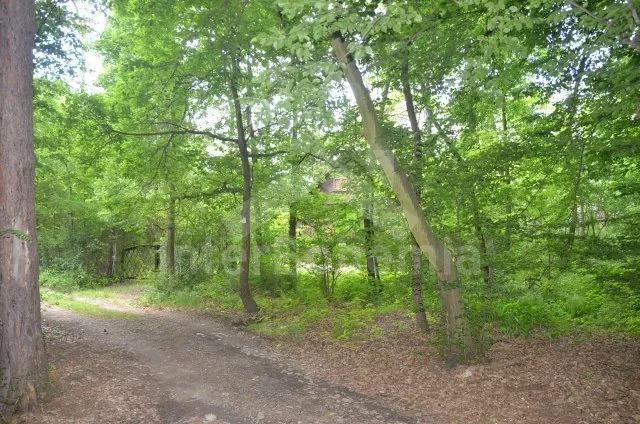 Bungalow Prag und Umgebung JC 0229