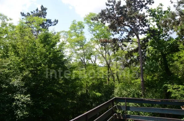 Bungalow Prag und Umgebung JC 0229