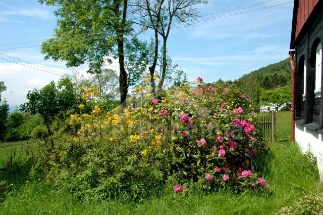 Chalupa České Švýcarsko LH 0003