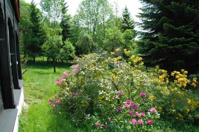 Holiday Home České Švýcarsko (Bohemian Switzerland) LH 0003