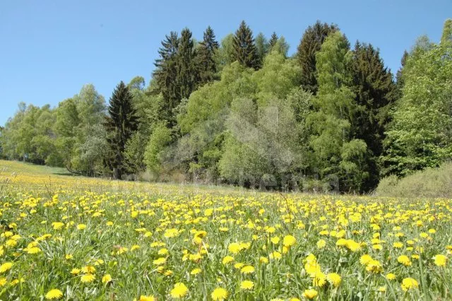 Domek Lužické hory LH 0007