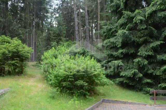 Chata Lužické hory LH 0030