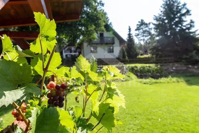 Chata Písek a okolí - Nuzice JC 0450