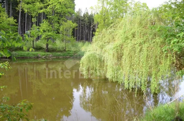 Chata Tábor a okolí JC 0456