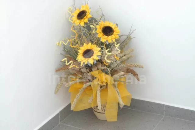 Statek České Budějovice a okolí JC 0542