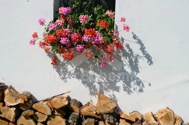 Statek České Budějovice a okolí JC 0542