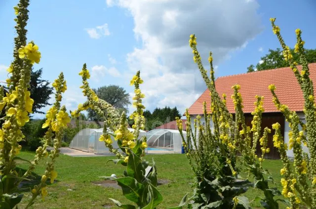 Chalupa Českomoravská vrchovina JC 0471