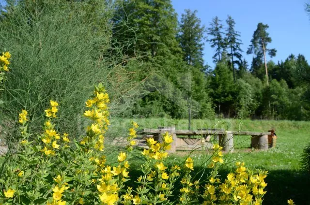 Lodge Nové Hrady and Surroundings JC 0545