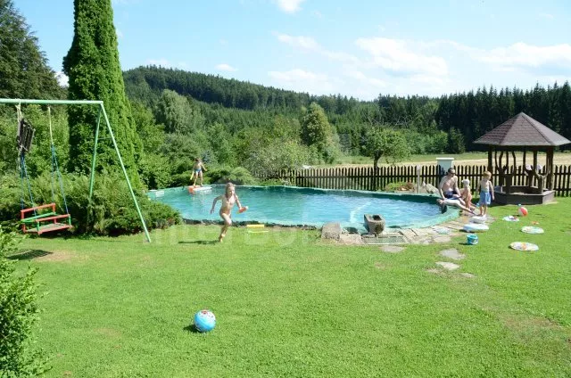 Lodge Bohemian Forest JC 0546