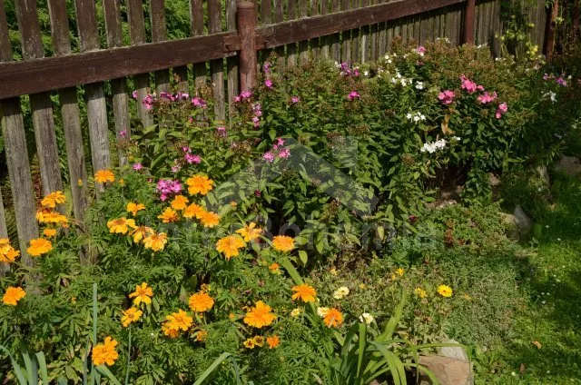 Chalupa Písek a okolí JC 0589