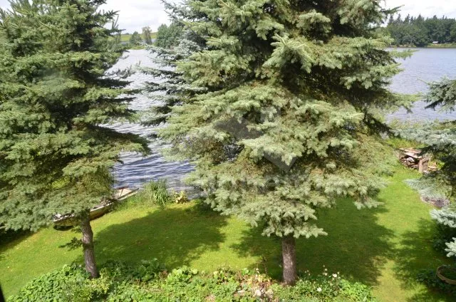 Chata Jihočeské rybníky JC 0559