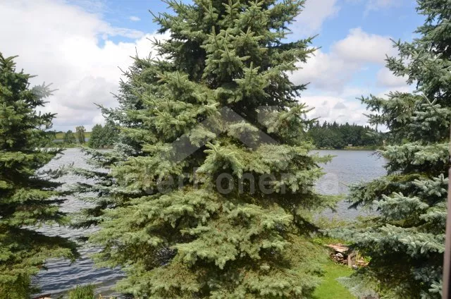 Chata Jihočeské rybníky JC 0559