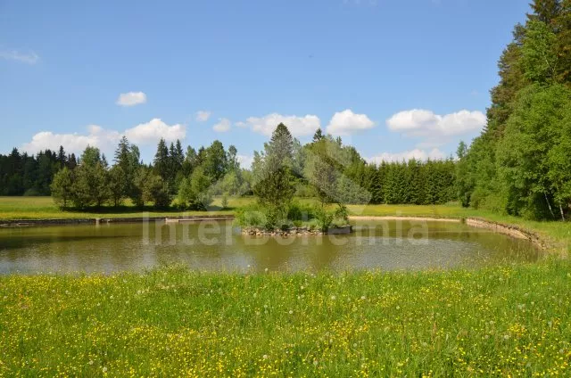 Chalet Bohemian-Moravian highlands JC 0603