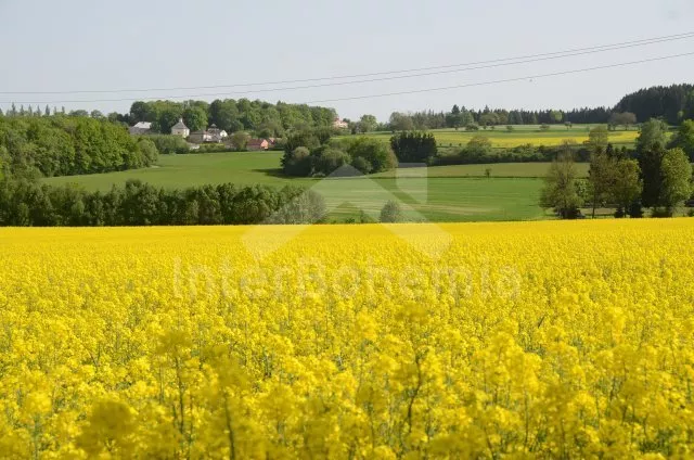 Vakantiehuis Boheems-Moravische hoogvlakte JC 0604