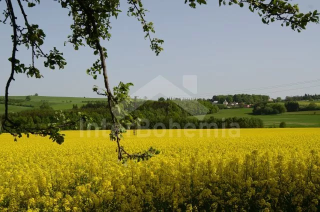 Vakantiehuis Boheems-Moravische hoogvlakte JC 0604