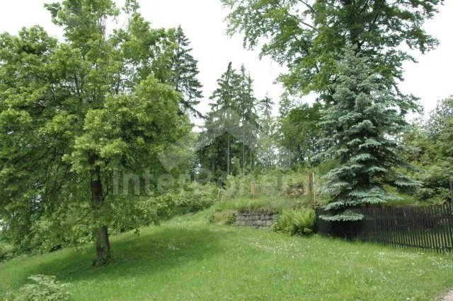 Apartmán Jizerské hory JH 0003 A