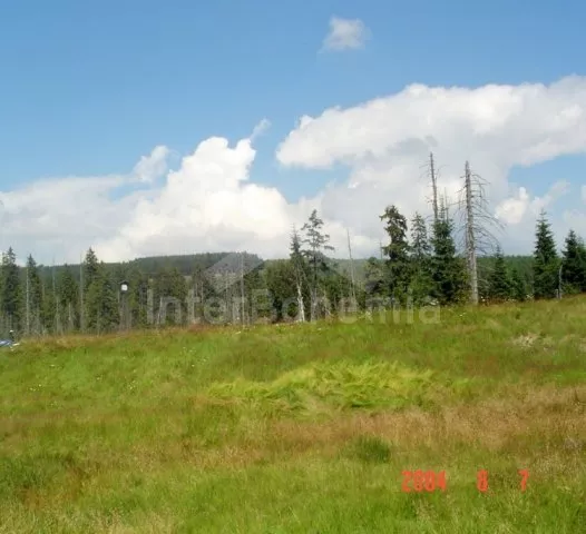 Apartmán Jizerské hory JH 0003 A