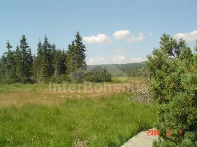 Apartmán Jizerské hory JH 0003 B