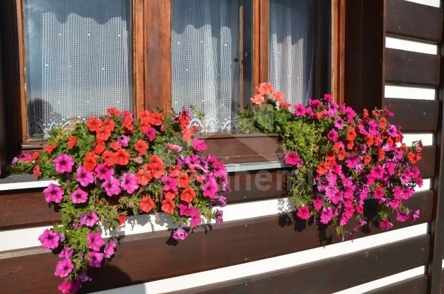 Ferienhaus Isergebirge JH 0015