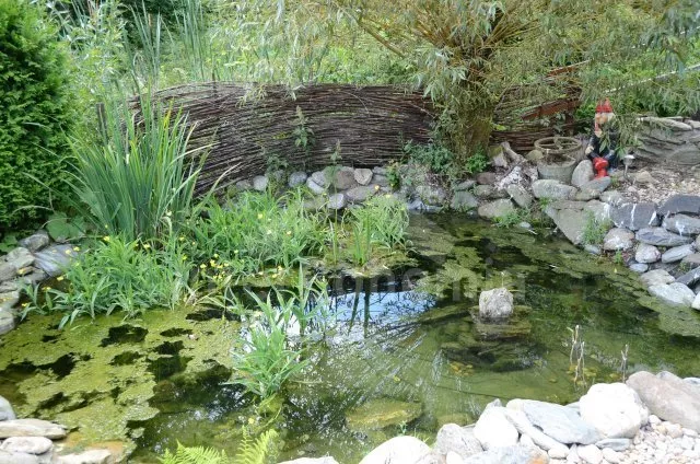 Chalupa Krkonoše a předhůří KK 0013