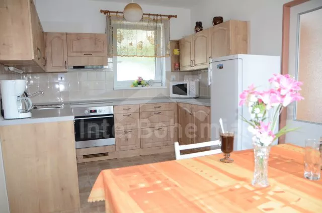 Vakantiehuis Gebied rondom de stad Pisek JC 0629