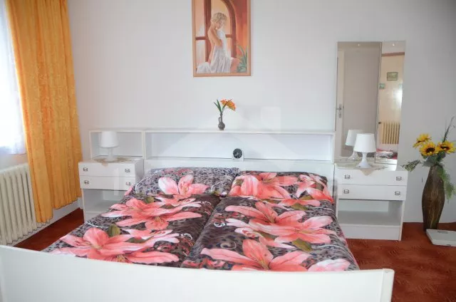 Vakantiehuis Gebied rondom de stad Pisek JC 0629