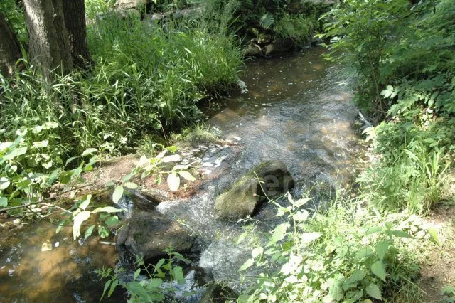 Chata Českomoravská vrchovina JC 0631