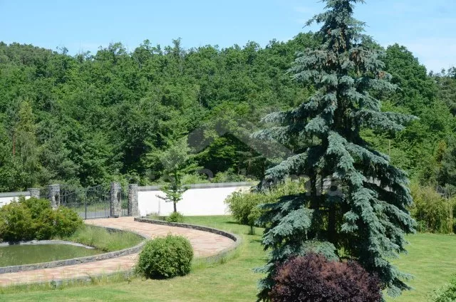 Vila Praha a okolí OP 0002