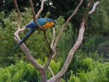 ZOO Safari Dvůr Králové