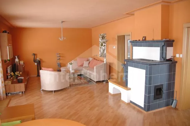 Vila Tábor a okolí JC 0004