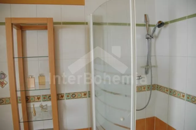 Vila Tábor a okolí JC 0004