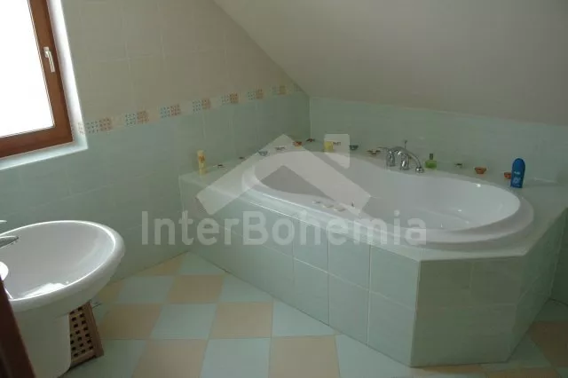 Vila Tábor a okolí JC 0004