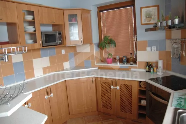 Vila Tábor a okolí JC 0004