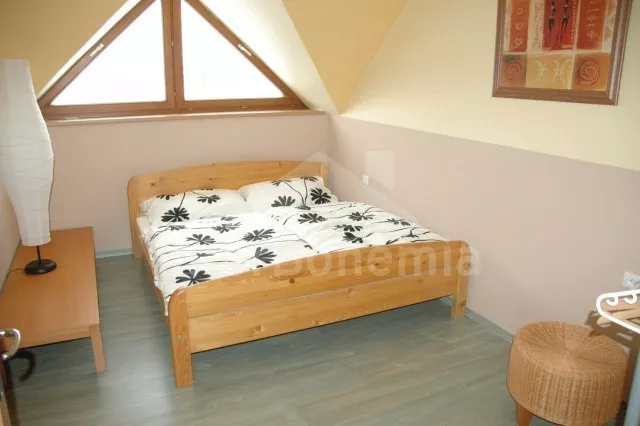 Vila Tábor a okolí JC 0004