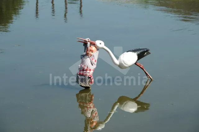 Chata Novohradsko JC 0646