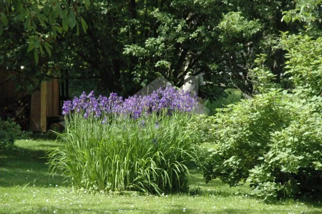 Domek Česká Kanada JC 0658