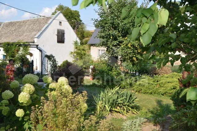 Chalupa Jeseníky SM 0004