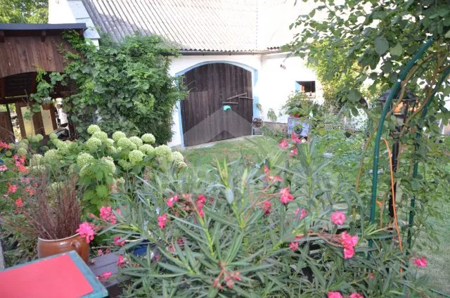 Chalupa Jeseníky SM 0004