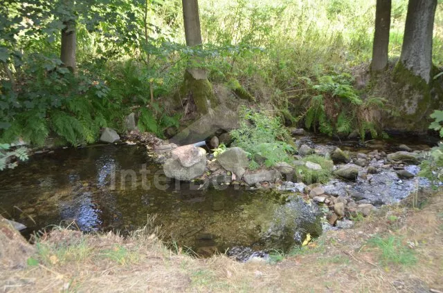 Chalupa Jeseníky SM 0027