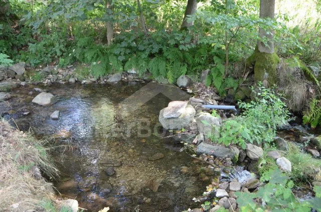 Chalupa Jeseníky SM 0027