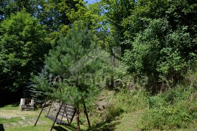 Chata Jeseníky SM 0091